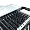 Elevate your beauty business with a wholesale supply of 0.05 DD Curl individual eyelashes. Bulk purchase options for lash professionals and technicians looking for premium eyelash extensions.  Mejore su negocio de belleza con un suministro mayorista de pestañas individuales 0.05 DD Curl. Opciones de compra al por mayor para profesionales y técnicos de pestañas que buscan extensiones de pestañas premium.